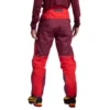 Pantalones Alpine Guide GTX Performance M Pantalones Alpine Guide GTX Performance M