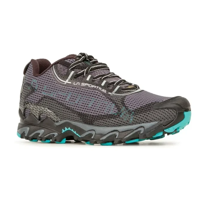 Wildcat 2.0 GTX Mujer (2023) Wildcat 2.0 GTX Mujer (2023)